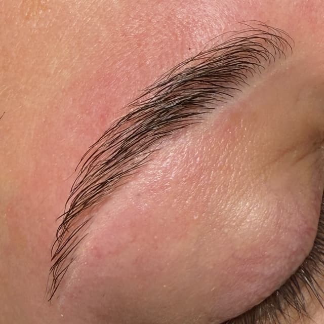 4 Visit Eyebrow Maintenance Package at WaxdByArianaMichelle in Latham, NY
