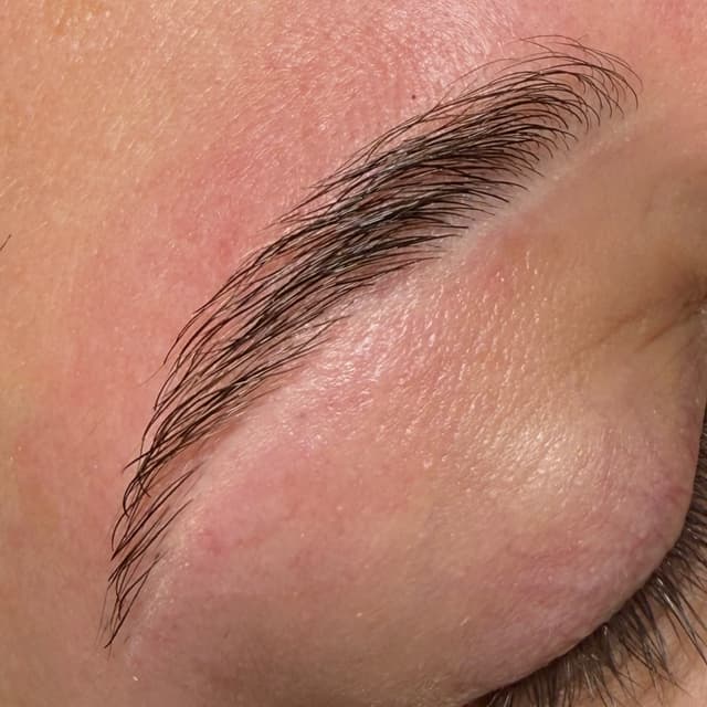 6 Visit Eyebrow Maintenance Package at WaxdByArianaMichelle in Latham, NY